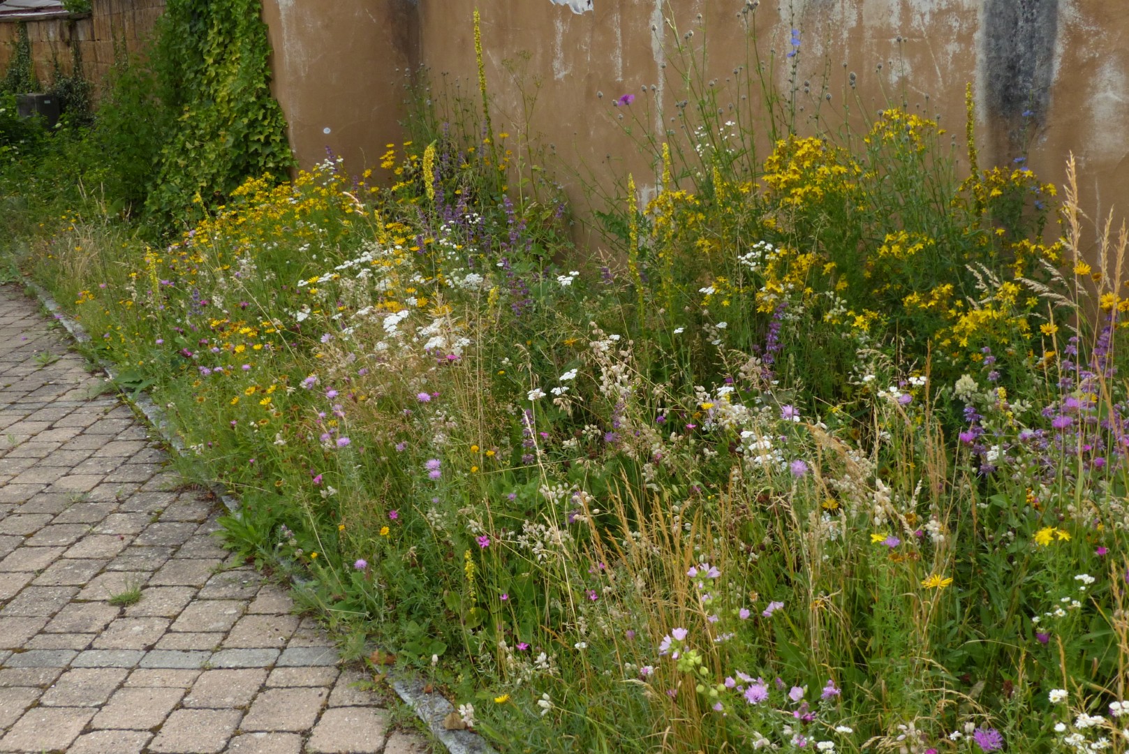 Wildbienensaum